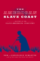 american slave 9781613748206
